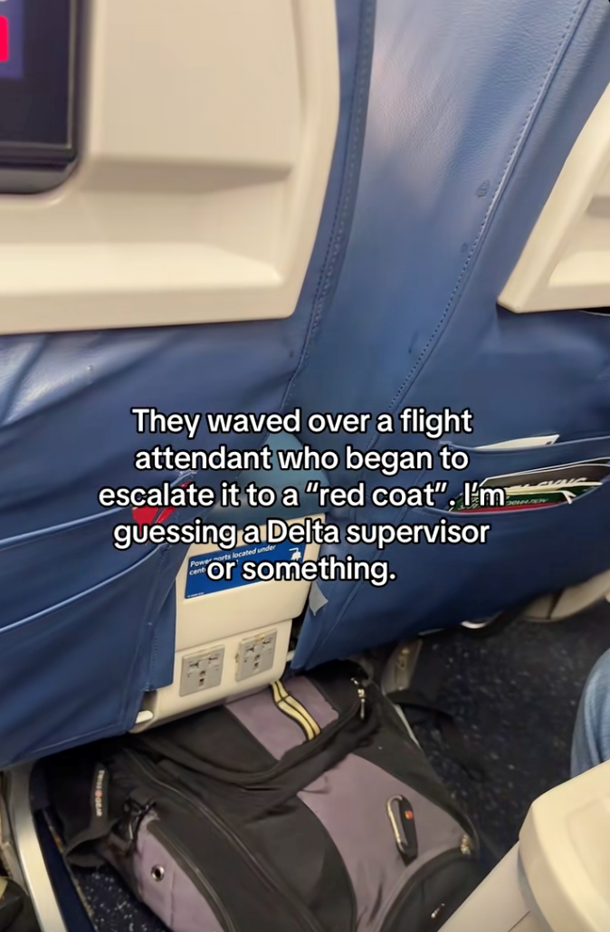 Influencer comes to the aid of a blind man and his service dog on a flight after getting harassed by a family with an untrained dog, helps him go viral: ‘Literally, the coolest guy ever!’