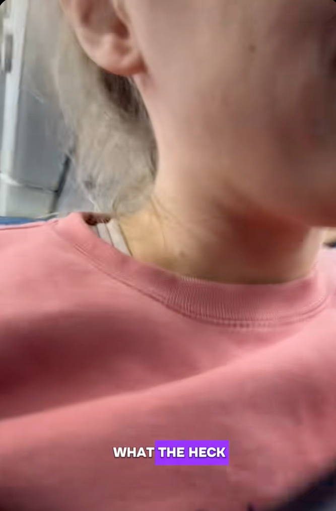 Influencer comes to the aid of a blind man and his service dog on a flight after getting harassed by a family with an untrained dog, helps him go viral: ‘Literally, the coolest guy ever!’