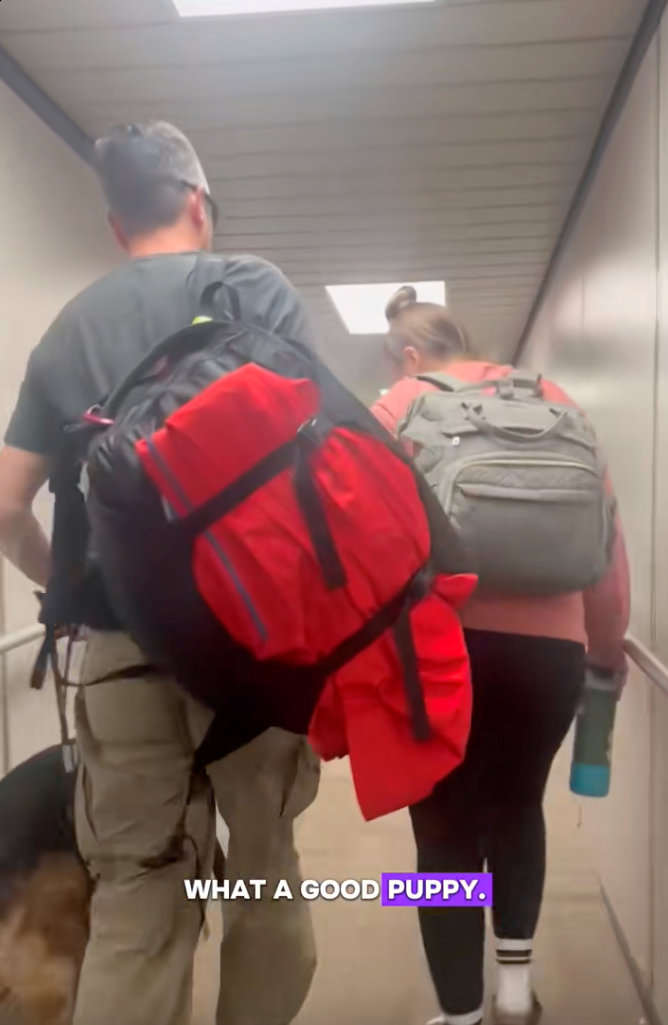 Influencer comes to the aid of a blind man and his service dog on a flight after getting harassed by a family with an untrained dog, helps him go viral: ‘Literally, the coolest guy ever!’