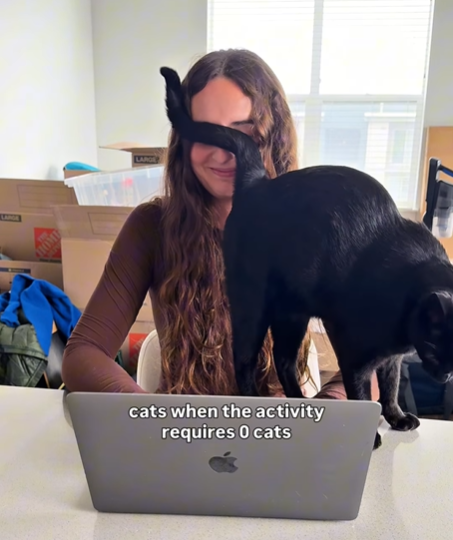 AKO LARGE cats when the activity requires 0 cats