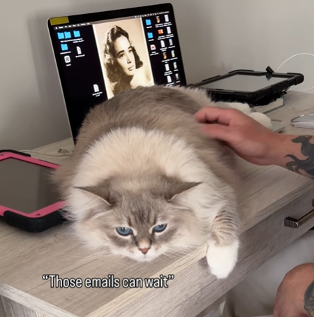 "Those emails can wait"