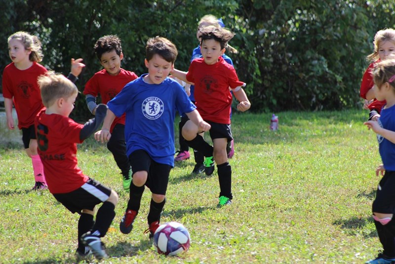 boys in red and blue soccer jerseys kicking soccer ball on green grass field during daytime