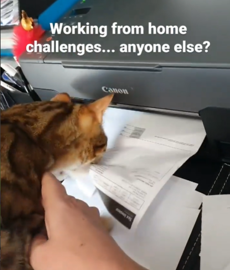 Working from home challenges... anyone else? Canon