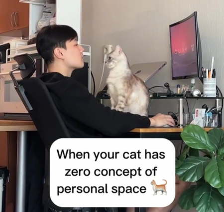 When your cat has zero concept of personal space