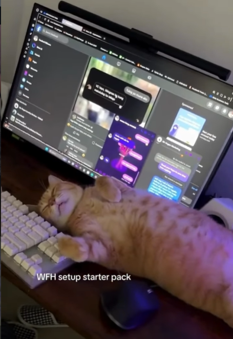 WFH setup starter pack 이