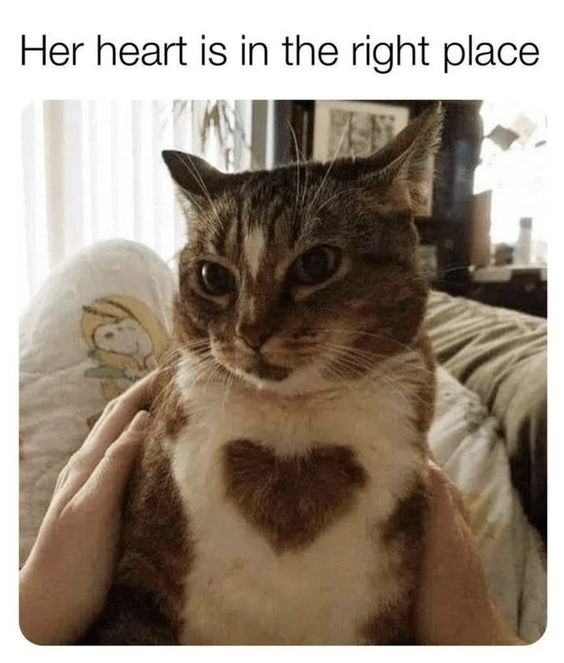 Her heart is in the right place