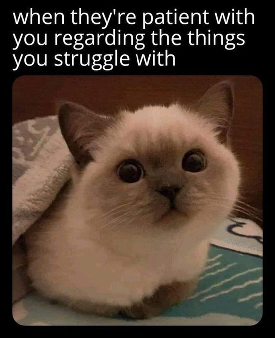 when they're patient with you regarding the things you struggle with