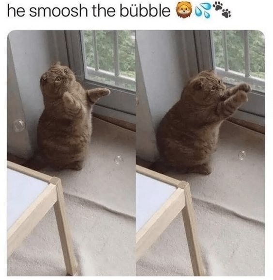 he smoosh the bubble