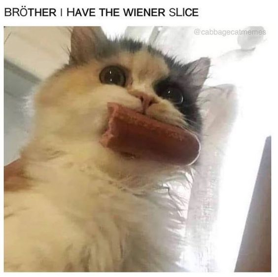 BRÖTHER I HAVE THE WIENER SLICE @cabbagecatmemes
