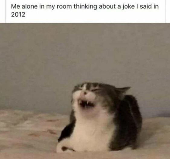 Me alone in my room thinking about a joke I said in 2012