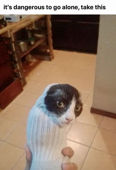 it's dangerous to go alone, take this