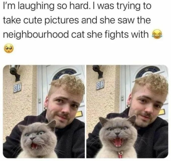 I'm laughing so hard. I was trying to take cute pictures and she saw the neighbourhood cat she fights with 80 80