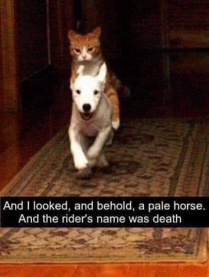 And I looked, and behold, a pale horse. And the rider's name was death