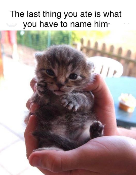 The last thing you ate is what you have to name him