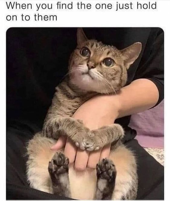 When you find the one just hold on to them