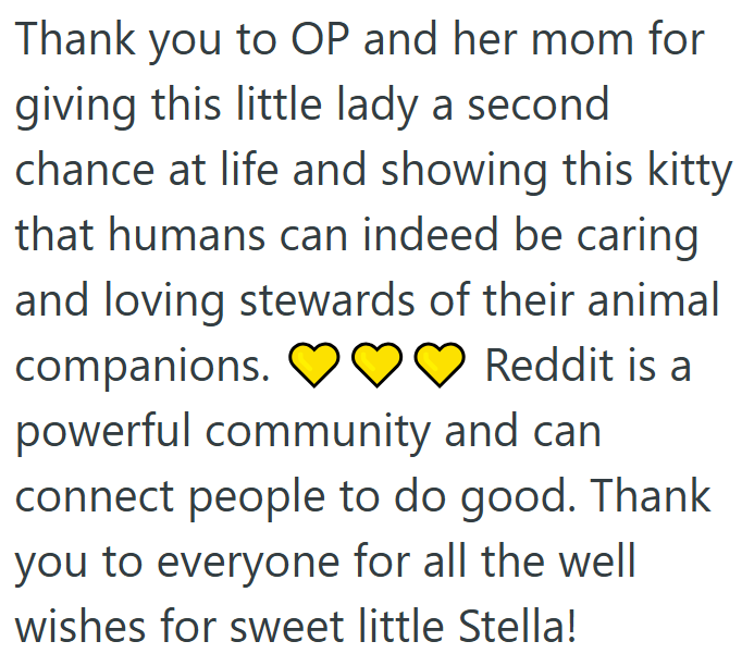 Thank you to OP and her mom for giving this little lady a second chance at life and showing this kitty that humans can indeed be caring and loving stewards of their animal companions. Reddit is a powerful community and can connect people to do good. Thank you to everyone for all the well wishes for sweet little Stella!