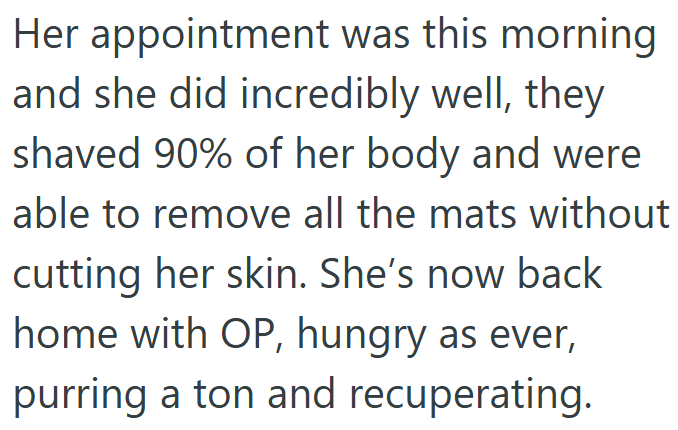 Her appointment was this morning and she did incredibly well, they shaved 90% of her body and were able to remove all the mats without cutting her skin. She's now back home with OP, hungry as ever, purring a ton and recuperating.