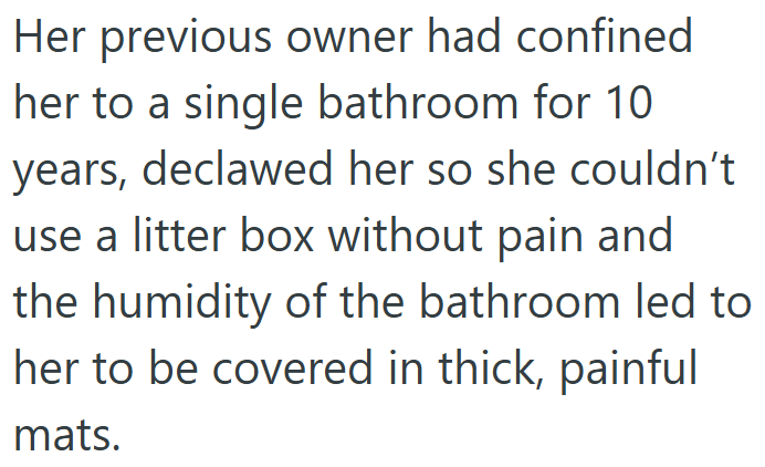 Her previous owner had confined her to a single bathroom for 10 years, declawed her so she couldn't use a litter box without pain and the humidity of the bathroom led to her to be covered in thick, painful mats.