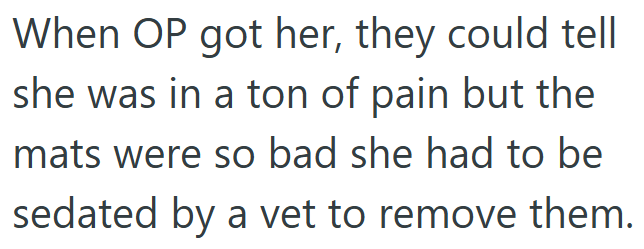 When OP got her, they could tell she was in a ton of pain but the mats were so bad she had to be sedated by a vet to remove them.