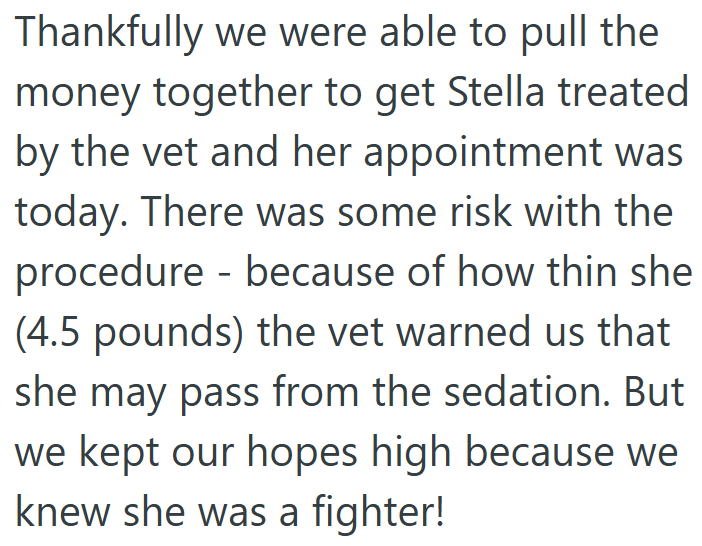 Thankfully we were able to pull the money together to get Stella treated by the vet and her appointment was today. There was some risk with the procedure - because of how thin she (4.5 pounds) the vet warned us that she may pass from the sedation. But we kept our hopes high because we knew she was a fighter!