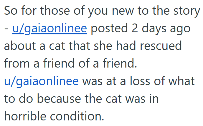 So for those of you new to the story - u/gaiaonlinee posted 2 days ago about a cat that she had rescued from a friend of a friend. u/gaiaonlinee was at a loss of what to do because the cat was in horrible condition.