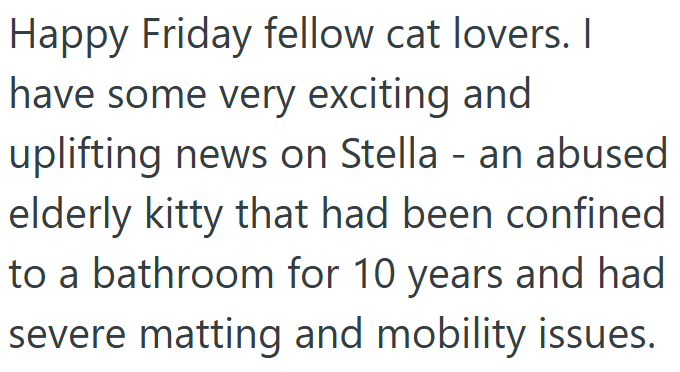 Happy Friday fellow cat lovers. I have some very exciting and uplifting news on Stella - an abused elderly kitty that had been confined to a bathroom for 10 years and had severe matting and mobility issues.