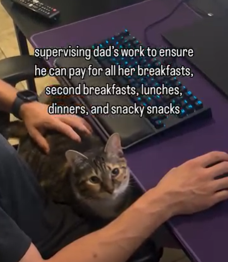 supervising dad's work to ensure he can pay for all her breakfasts, second breakfasts, lunches, dinners, and snacky snacks