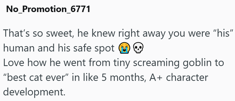 No_Promotion_6771 That's so sweet, he knew right away you were "his" human and his safe spot Love how he went from tiny screaming goblin to "best cat ever" in like 5 months, A+ character development.
