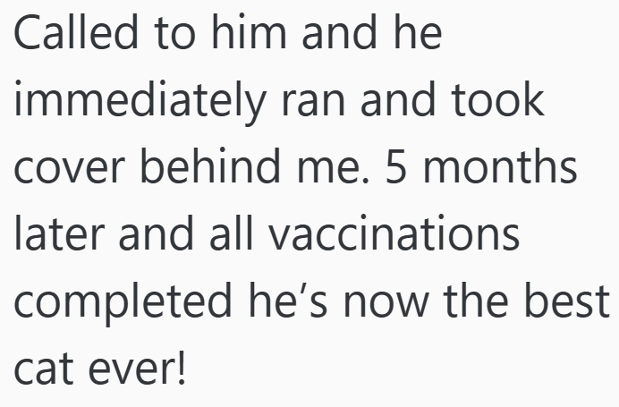 Called to him and he immediately ran and took cover behind me. 5 months later and all vaccinations completed he's now the best cat ever!