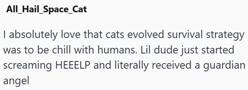 All Hail_Space_Cat I absolutely love that cats evolved survival strategy was to be chill with humans. Lil dude just started screaming HEEELP and literally received a guardian angel