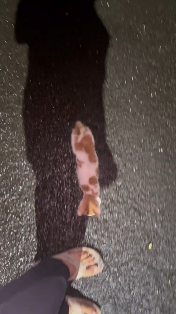 Cheezburger Image 10615975680