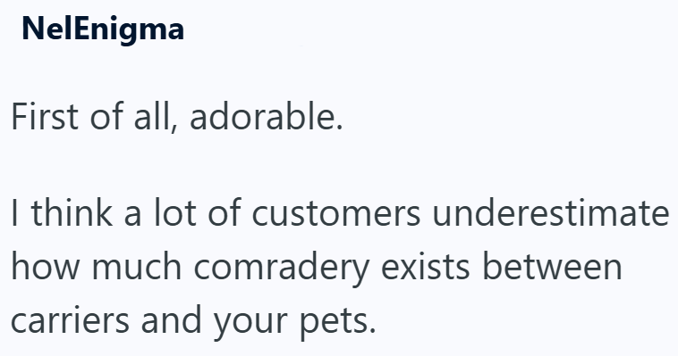 NelEnigma First of all, adorable. I think a lot of customers underestimate how much comradery exists between carriers and your pets.