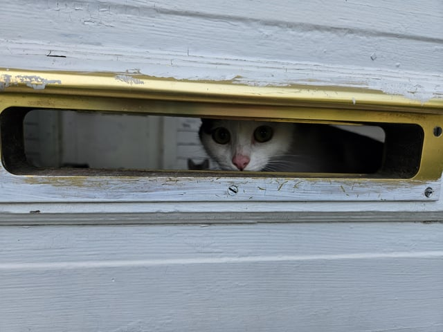 Cheezburger Image 10615977472