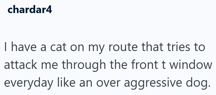 chardar4 I have a cat on my route that tries to attack me through the front t window everyday like an over aggressive dog.