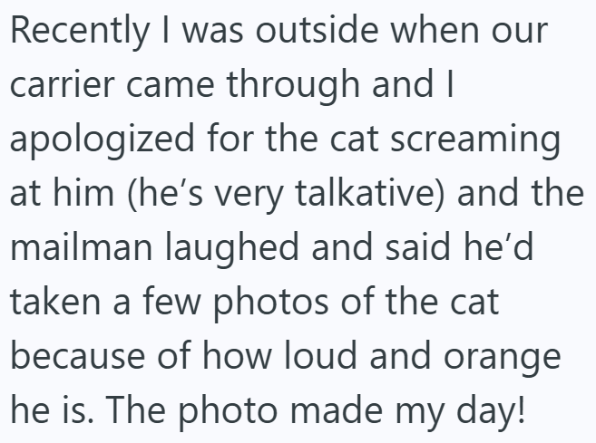 Recently I was outside when our carrier came through and I apologized for the cat screaming at him (he's very talkative) and the mailman laughed and said he'd taken a few photos of the cat because of how loud and orange he is. The photo made my day!