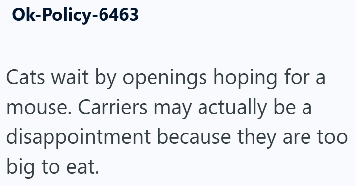 Ok-Policy-6463 Cats wait by openings hoping for a mouse. Carriers may actually be a disappointment because they are too big to eat.