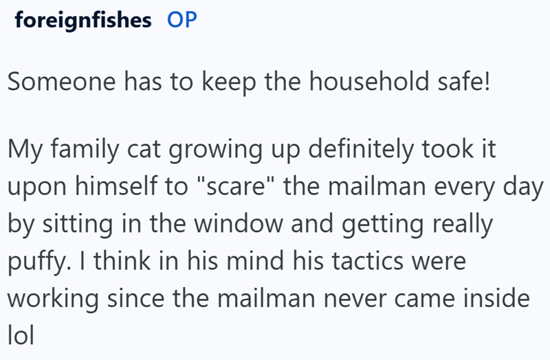 foreignfishes OP Someone has to keep the household safe! My family cat growing up definitely took it upon himself to "scare" the mailman every day. by sitting in the window and getting really puffy. I think in his mind his tactics were working since the mailman never came inside lol