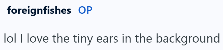 foreignfishes OP lol I love the tiny ears in the background