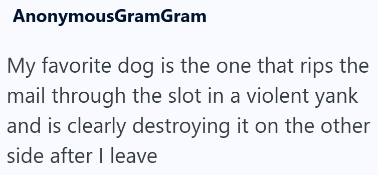 AnonymousGramGram My favorite dog is the one that rips the mail through the slot in a violent yank and is clearly destroying it on the other side after I leave