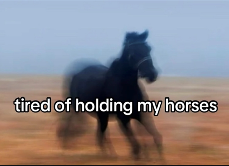 tired of holding my horses