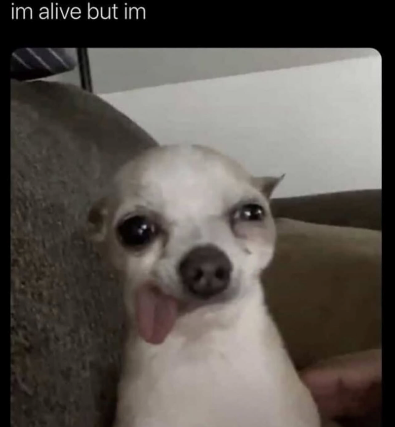im alive but im