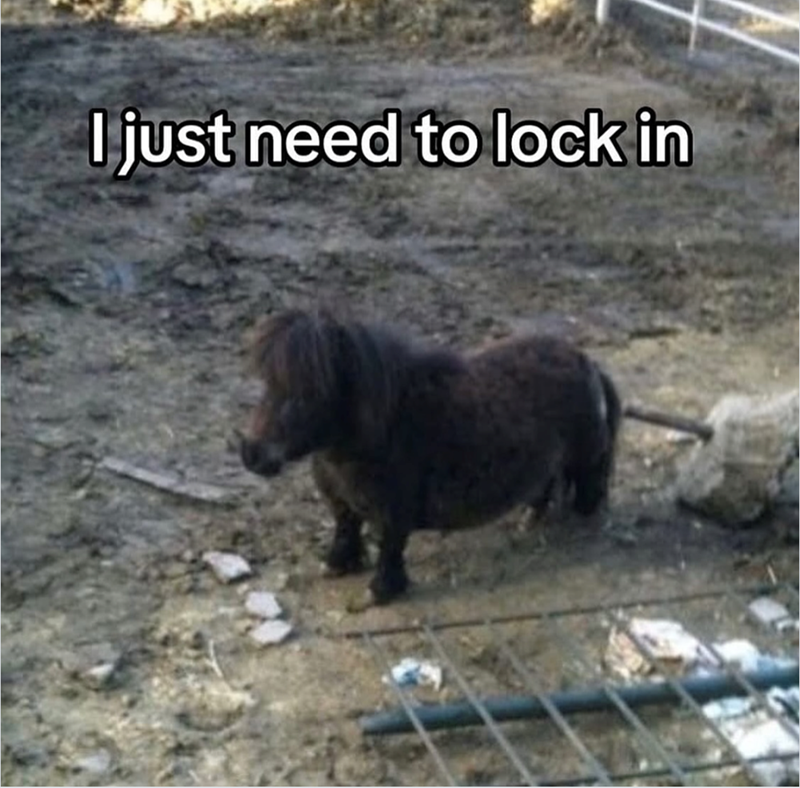 I just need to lock in