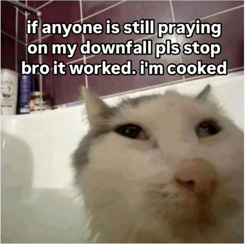 if anyone is still praying on my downfall pls stop bro it worked. i'm cooked