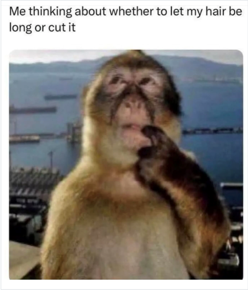 Me thinking about whether to let my hair be long or cut it