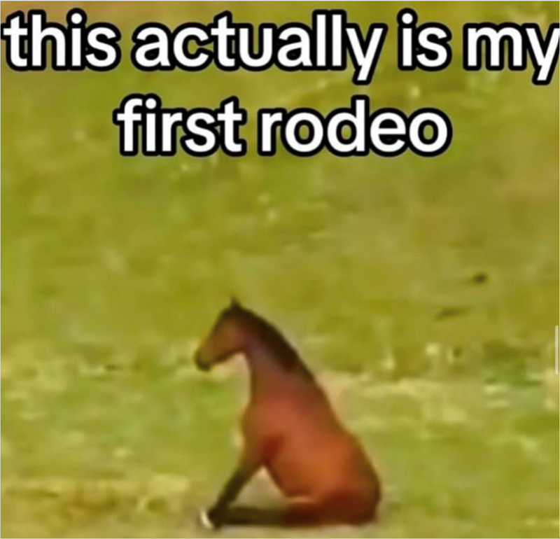 this actually is my first rodeo
