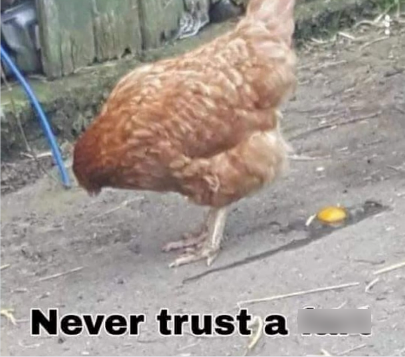 Never trust a