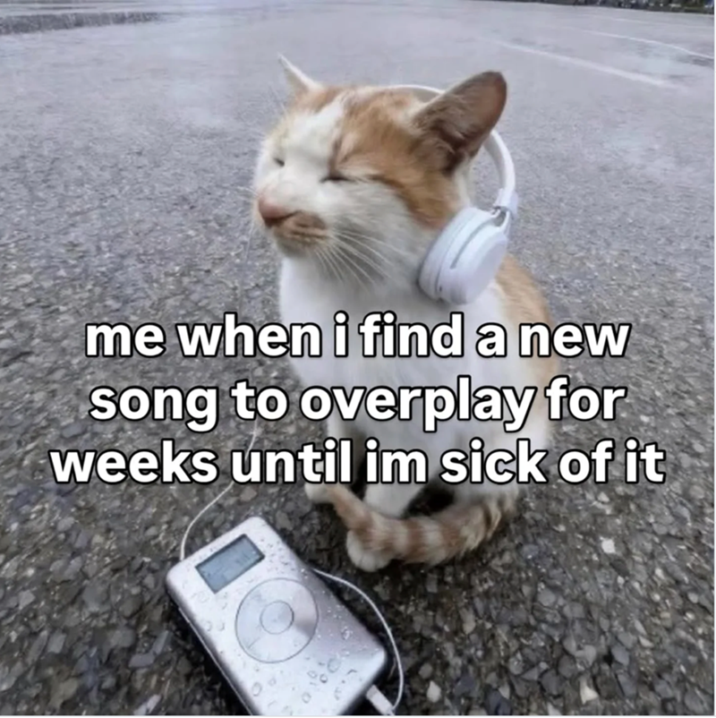 me when i find a new song to overplay for weeks until im sick of it