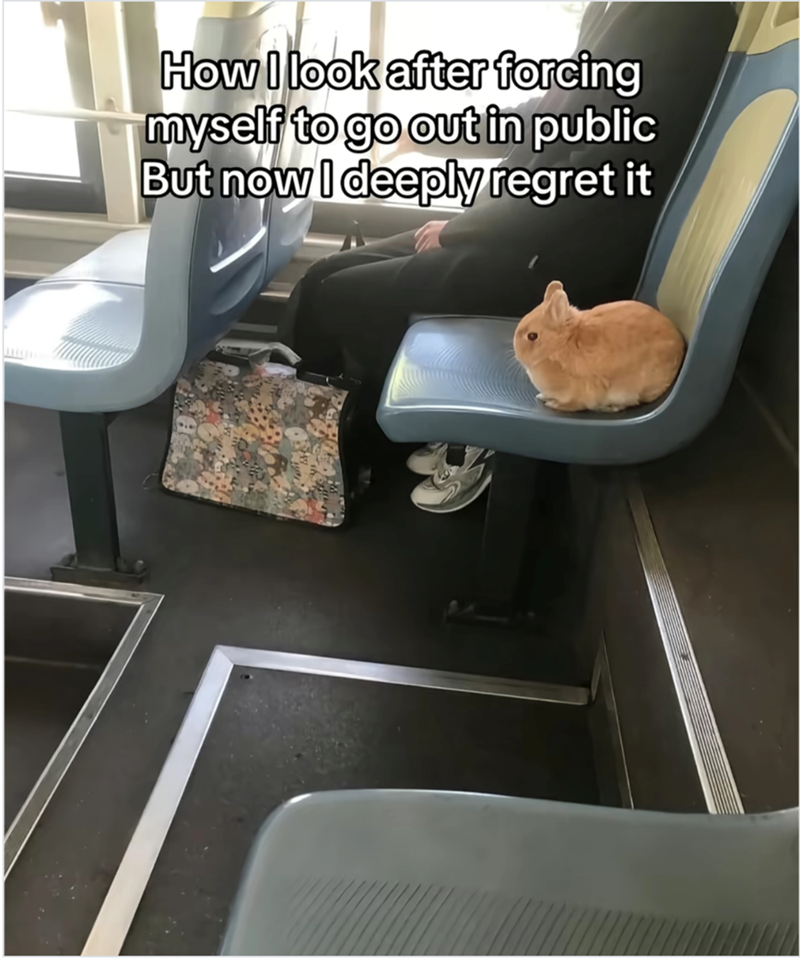 How I look after forcing myself to go out in public But now I deeply regret it