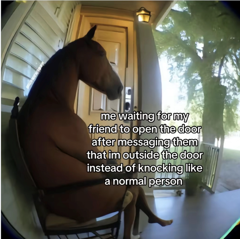 me waiting for my friend to open the door after messaging them that im outside the door instead of knocking like a normal person