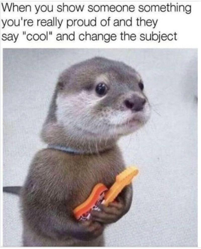 When you show someone something you're really proud of and they say "cool" and change the subject